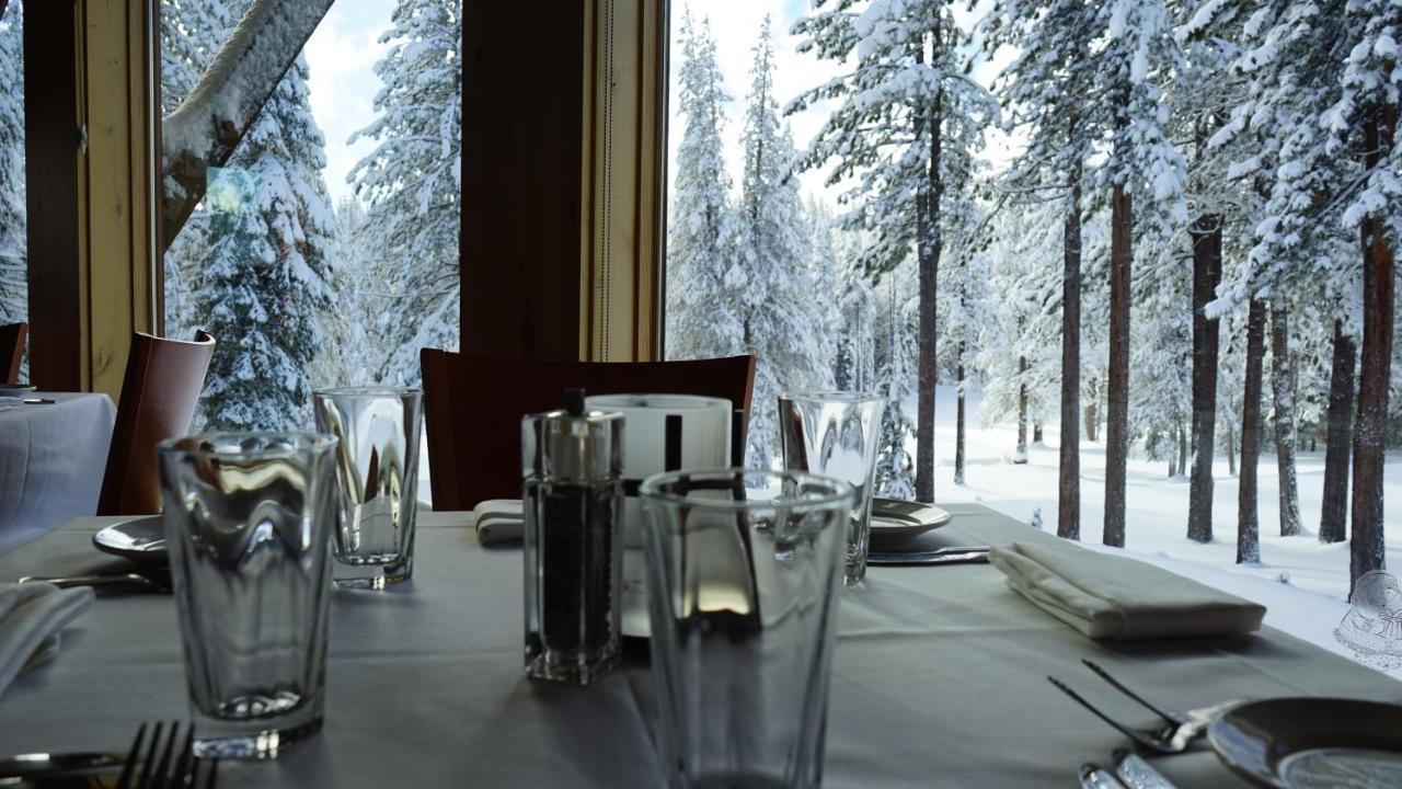 Bear Meadows Lodge - Hot Tub - Tahoe Donner Home Truckee Exterior photo